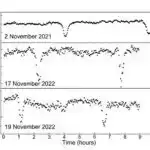 Braziliyada tapılan fosil dinozavrların 237 milyon illik bacı qrupuna aiddir.