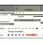 Protein USP50 DNT replikasiya balansında açar kimi müəyyən edilmişdir
