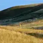 Kosmik mənşəyi açmaq: Tədqiqatçılar meteoritlərin 70%-ni 3 asteroid ailəsinə aid edirlər