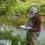 Sintetik molekulyar keçid təbii işıqla “rənglənməyə” imkan verir