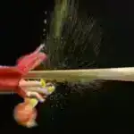 Uğurlu sınaq DUNE polad şüasını bir mil yerin altına çatdırır