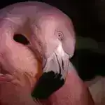 Tədqiqat enerjiyə susamış qapalı şaquli bağların təkmilləşdirilməsinə ehtiyac olduğunu vurğulayır