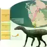 İlk mRNT stabilləşdirici maddə innovativ mRNT terapevtiklərinin inkişafına kömək edə bilər