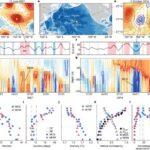 Zülal qabığının kəşfi diatomların CO₂-ni bu qədər effektiv şəkildə necə tutduğunu göstərir