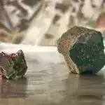 Yeni tədqiqat dəniz məhsullarının şəffaflığını artıraraq qlobal daşınmada əsas oyunçuları ortaya qoyur