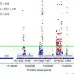 Adaların biomüxtəlifliyi: Hər üç bitki növündən birinin adaların vətəni olduğunu müəyyən edir