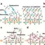 Yaşıl innovasiya patentlərinə sahib firmalar kredit bazarında mükafatlandırılır, araşdırma tapır