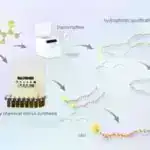 Dezinfeksiyaedici maddələrlə sağ qalan şəhər mikrobları, araşdırmalar göstərir