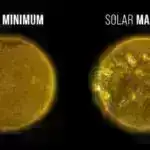 Bakteriyaların hədəflənməsi: Köməkçi metabolik genlər faglar və onların yenidən proqramlaşdırma strategiyası haqqında anlayışı genişləndirir.