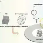 Nanohissəcik terapiyası prostat xərçəngi xəstələri üçün yeni ümidlər verir