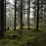 İqlim dəyişikliyi qasırğa kimi ekstremal hava hadisələrini necə gücləndirir