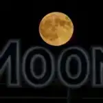 Sual və Cavab: Ləkəli fənər nədir və niyə biz onu “əzməyə” təşviq olunuruq?