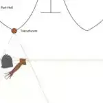 İqlim dəyişikliyinin səbəb olduğu zərərvericilər Cənubi Sudanda kənd təsərrüfatı məhsuldarlığı və ərzaq təhlükəsizliyi üçün əsas “darboğaz” olaraq qalır