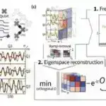 Çində bir mədəndə tapılan qanadlı toxumun ən erkən nümunələrindən biri