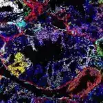 Kvant hesablama və fotonik kəşf kritik hissələri potensial olaraq 1000 dəfə kiçildir