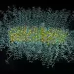 Yupiter peykində həyat mümkündürmü? NASA araşdırmaya gedir