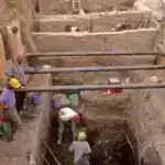 Tədqiqat, mikroRNT-lərin erkən embrionun inkişafındakı rolunu göstərir