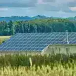 Biochar nanokompozit sidikdə asetaminofen və sidik turşusunun aşkarlanmasını gücləndirir