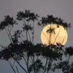 Oktyabrın super ayı xüsusi bir gecə tamaşası üçün kometa ilə cütləşir