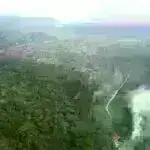 Vyetnam zooparklarında 47 pələng quş qripindən ölüb: Dövlət mediası