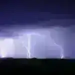 Alimlər Drosophila-da beyinin dayanma mexanizmlərini deşifrə edirlər