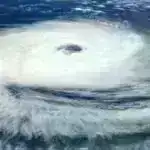 Gibbon rəqsləri primatlarda jest siqnallarının istifadəsini araşdırmaq üçün model təmin edir