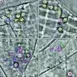 Süni intellekt hər kəsə, o cümlədən yerli insanlara təsir göstərir