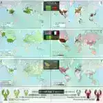 Akademik ‘TikTok’ öyrənmənin gələcəyidirmi?