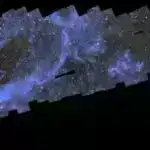 Perdue, Merilend ştatında PFAS-in çirklənməsinə görə sinif davası ilə üzləşir