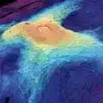 Scientific American-ın 2024-cü ildə tövsiyə etdiyi 78 kitab