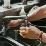 Yeni tədqiqat qədim Girit begemotunun kəlləsini yenidən qurur