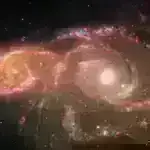 Tüklü nəhəng tarantula: “lələk tozlayan” ayaqları olan mini tarantulalar arasında canavar