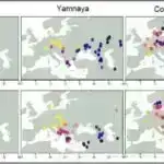 Arxeoloqlar qarğıdalının Casarabe xalqı və onların ördəkləri üçün əhəmiyyətini aşkar edirlər