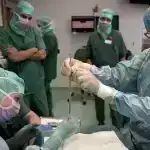 Düşüncənin İnanılmaz Yavaşlığı