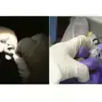 Sadələşdirilmiş Elm: Qaranlıq Maddə və Qara Enerji nədir?