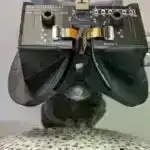 Şimpanzelərin qoz-fındıq sındırması ilə bağlı araşdırma bəzilərinin digərlərindən daha yaxşı olduğunu göstərir