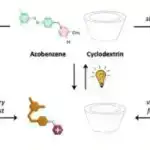 Tək istiqamətli istilik axınının inkişafı: Kvant termal diodlarının növbəti dövrü
