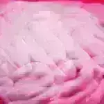 2024-cü ildə Heyvanlar Haqqında Öyrəndiyimiz Ən Sevimli 6 Şey