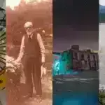 Dörd zürafə növünün təsnifatını dəstəkləyən morfoloji sübut