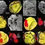 Marsda interneti necə qurmaq olar