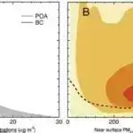 AAV gen terapiyası ilə müalicə olunan LHON xəstələrində davamlı vizual təkmilləşdirmələr