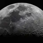 Şaxtalı budaq angiiti: Retinanın buzlu ağac kimi görünməsinə səbəb olan nadir bir göz xəstəliyi