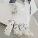 Oranlar idman mərc oyunlarının gender cəlbediciliyinin dəyişməsinə işarə edir