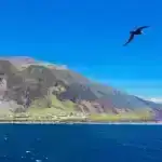 Böyük Britaniya karxanasındakı qəribə zərbələr Yura dövrünün ən böyük dinozavrlarından bəziləri üçün 166 milyon illik dinozavr “magistralı” olduğu ortaya çıxdı.