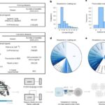 Case study kvant maşın öyrənməsi üçün praktik tətbiqləri nümayiş etdirir