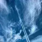 “Exocortex” ilə süni təxəyyül: Tədqiqatçı elmi ilham və təxəyyülə kömək etmək üçün proqram təminatı təklif edir