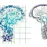 Sirkulyasiya edən döş xərçəngi hüceyrələrindən olan mini şişlər yeni müalicə anlayışları təklif edir
