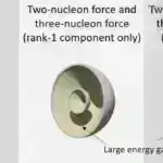 İki atası olan siçan yetkinlik yaşına qədər sağ qalır və bu, elmi mərhələni qeyd edir