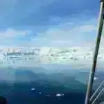 Orca Tahlequahın yeni körpəsi ölür