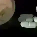 Qardeniya bitkiləri xəstə insan sinirlərini bərpa etmək üçün kimyəvi açarı saxlaya bilər